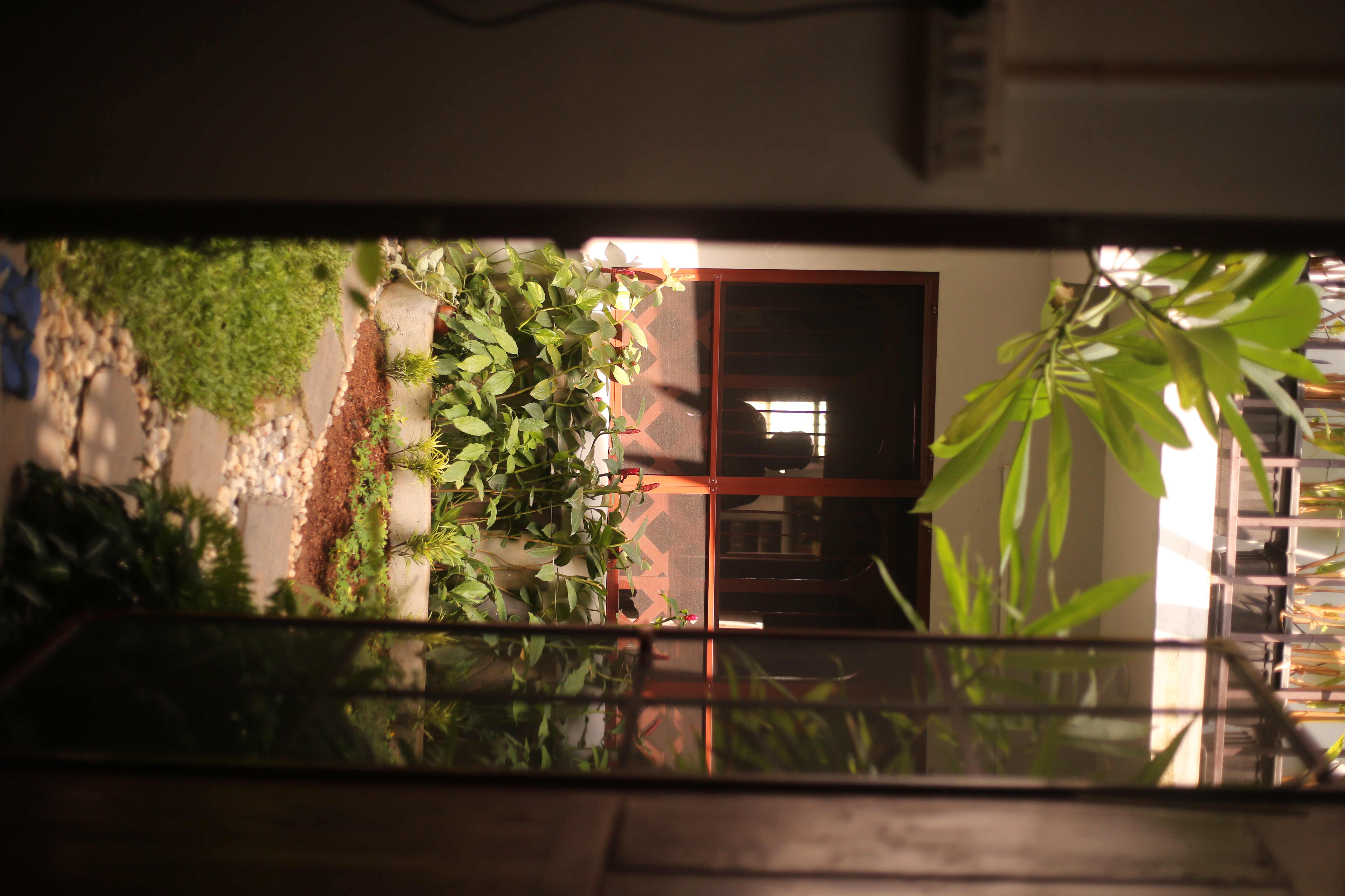 Garden Sanctuary - Image 2